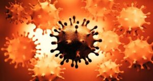 Јужна Африка идентификуваше нова варијанта на Ковид-19