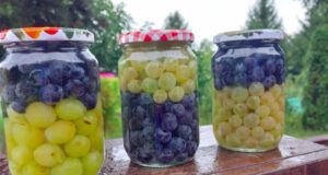РЕЦЕПТ ПО КОЈ СИТЕ ПОЛУДЕА: Како да го чувате грозјето во тегла за да не скапува, а вкусот да остане непроменет!