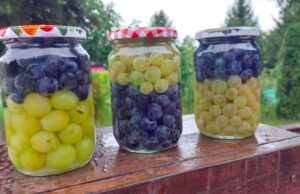 РЕЦЕПТ ПО КОЈ СИТЕ ПОЛУДЕА: Како да го чувате грозјето во тегла за да не скапува, а вкусот да остане непроменет!