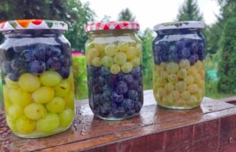 РЕЦЕПТ ПО КОЈ СИТЕ ПОЛУДЕА: Како да го чувате грозјето во тегла за да не скапува, а вкусот да остане непроменет!