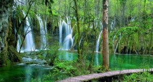 Прекрасните плитвички езера (фото)