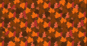 Рекордот е 15 секунди: Можете ли што побрзо да најдете еж помеѓу лисјата?