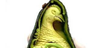 Уметник го претвора авокадото во сензационални мини уметнички дела