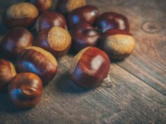 Костенот е исклучително здрава и квалитетна храна