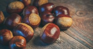 Костенот е исклучително здрава и квалитетна храна