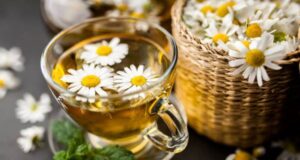 Најпознатата билка со одличен вкус е лек за речиси сите болести