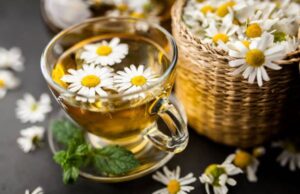 Најпознатата билка со одличен вкус е лек за речиси сите болести