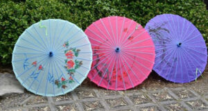 7 интересни факти за чадорите