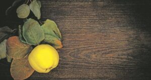 ОВА ОВОШЈЕ ГО ЗАЈАКНУВА ИМУНИТЕТОТ! Го штити организмот од инфекции и ја зајакнува крвната слика!