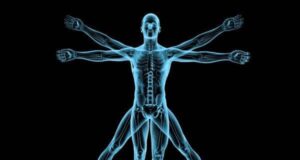 10 интересни факти за човечкото тело кои можеби не сте ги знаеле