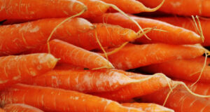 Дали јадењето моркови навистина го подобрува видот?