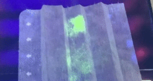 Јапонски научници дизајнираа светлечки маски кои детектираат коронавирус