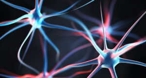 Гинко билоба против оштетување на мозокот