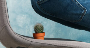 Овие 5 секојдневни навики и состојби предизвикуваат хемороиди