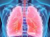 10 изненадувачки факти за белите дробови