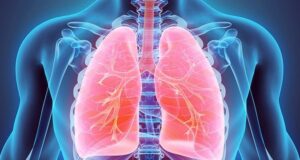 10 изненадувачки факти за белите дробови