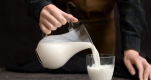 Кои се главните разлики помеѓу козјото и кравјото млеко?