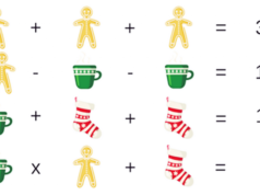 Новогодишна загатка: Дали можете да ја решите?