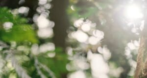 Откријте како дишете и што значи тоа за вашето здравје