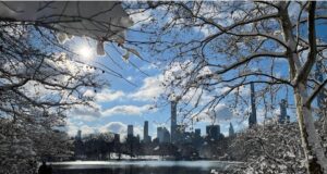Њујорк под снег на почетокот на 2022 (фотогалерија)