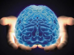 Мозокот ужива во мала тишина