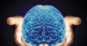 Мозокот ужива во мала тишина