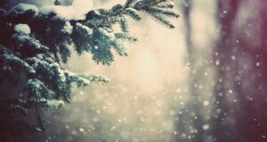 Малку интересно – дали ги знаете овие факти за снегот?