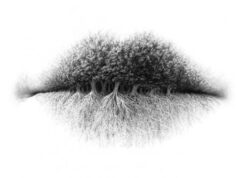 Оваа фотографија ќе ви открие како ве гледа околината: Како наивна, мистериозна или одговорна личност?