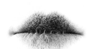 Оваа фотографија ќе ви открие како ве гледа околината: Како наивна, мистериозна или одговорна личност?