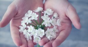 Нега на кожата на рацете за време на пандемија