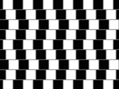 Оптичката илузија го полуде интернетот: Дали хоризонталните линии се прави или закривени?