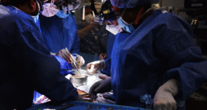 РЕВОЛУЦИЈА НА ВРАТА / За прв пат во историјата