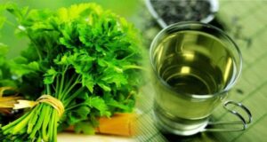 Сите придобивки од чајот од магдонос