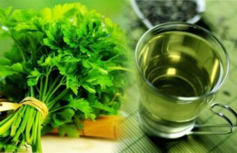 Сите придобивки од чајот од магдонос