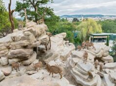 Најдобрата зоолошка градина во Европа – 6-ти пат по ред (фото)