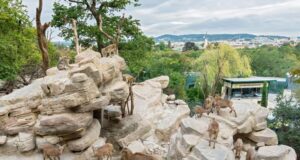 Најдобрата зоолошка градина во Европа – 6-ти пат по ред (фото)