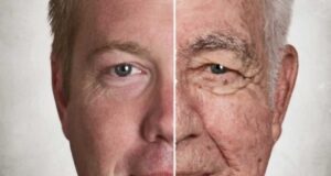 Како да го спасите мозокот од стареење