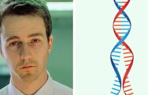 5 човечки особини кои најверојатно се генетски