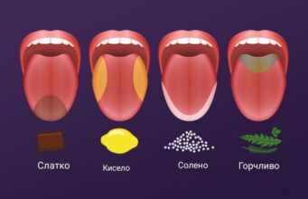 Дебелината го слабее сетилото за вкус, вели новото истражување