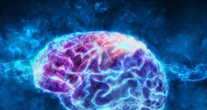 Витамини кои ја подобруваат функцијата на мозокот