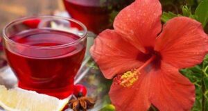 Моќта на хибискус…