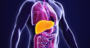 Само еден симптом покажува дека имате заболување на црниот дроб