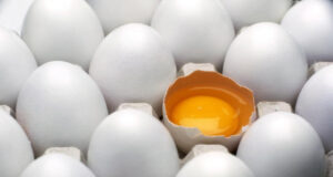 Неверојатната моќ на јајцата: Дали се подобар избор од месото