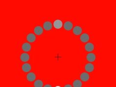 Гледајте ја белата точка 30 секунди и ќе се случи чудо: Оптичка илузија која го полуде интернетот