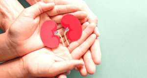 Денес е светскиот ден на бубрезите