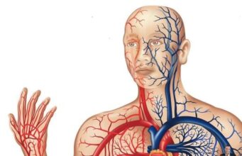 Едноставни совети за подобра циркулација