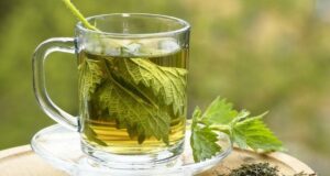 Сите здравствени придобивки од чајот од коприва