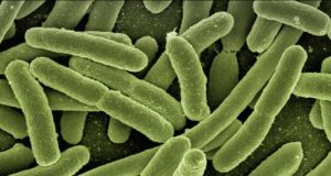 Овај предмет во вашата кујна е легло за бактерии