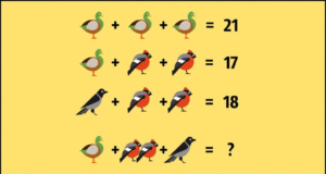 Загатка: Кој број треба да стои на местото на прашалникот?