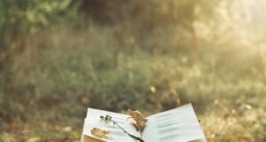 Светскиот ден на поезијата на 21 март